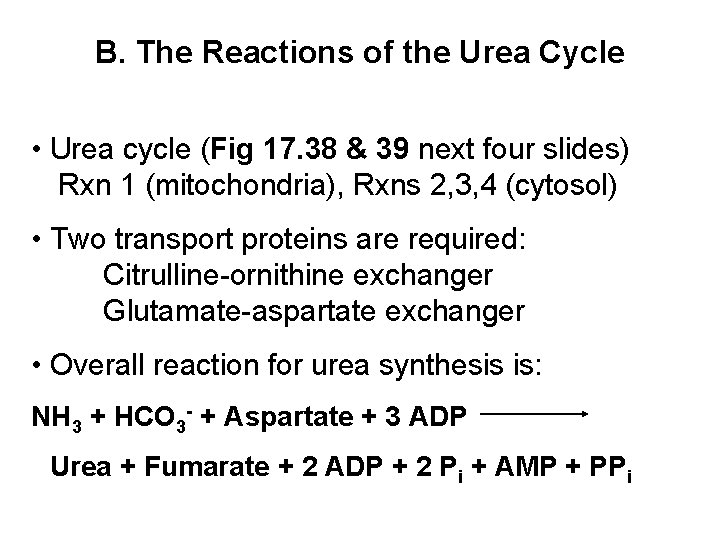 B. The Reactions of the Urea Cycle • Urea cycle (Fig 17. 38 &