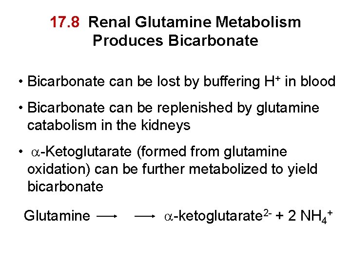 17. 8 Renal Glutamine Metabolism Produces Bicarbonate • Bicarbonate can be lost by buffering