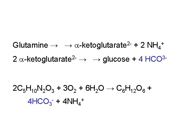 Glutamine → → a-ketoglutarate 2 - + 2 NH 4+ 2 a-ketoglutarate 2 -