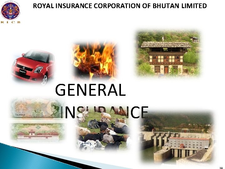 ROYAL INSURANCE CORPORATION OF BHUTAN LIMITED GENERAL IINSURANCE 19 