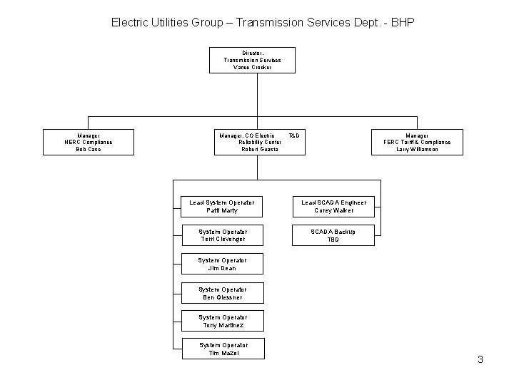 Electric Utilities Group – Transmission Services Dept. - BHP Director, Transmission Services Vance Crocker