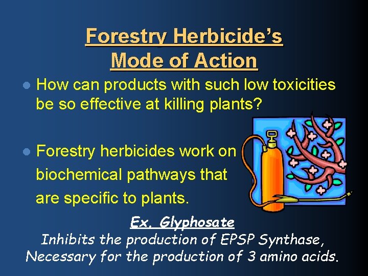 Forestry Herbicide’s Mode of Action l How can products with such low toxicities be