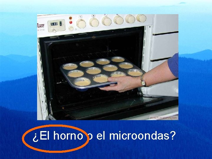 ¿El horno o el microondas? 