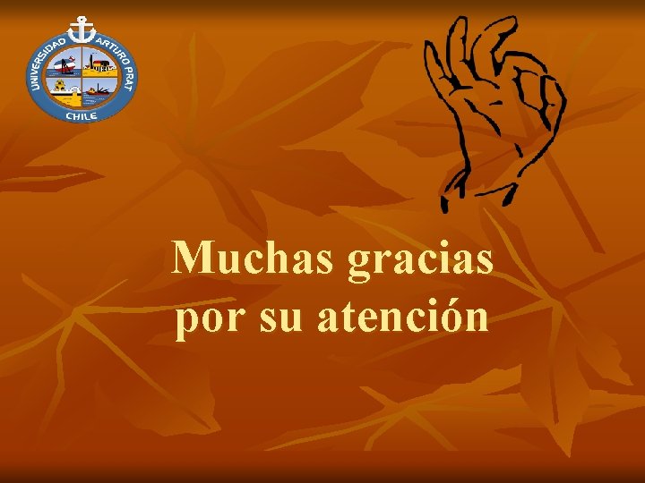 Muchas gracias por su atención 