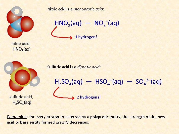 Nitric acid is a monoprotic acid: HNO 3(aq) — NO 3–(aq) 1 hydrogen! Sulfuric