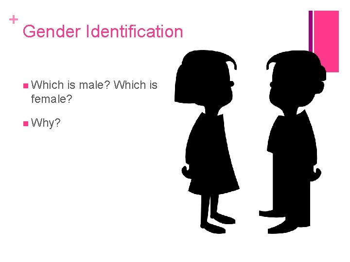 + Gender Identification Which is male? Which is female? Why? 