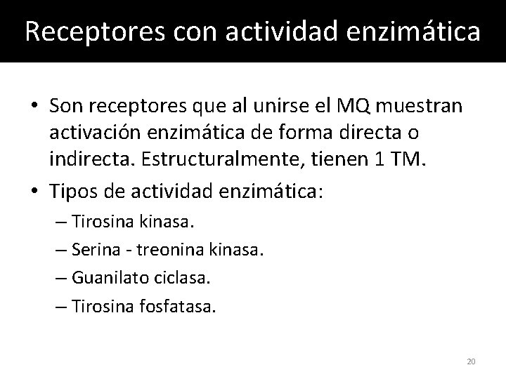 Receptores con actividad enzimática • Son receptores que al unirse el MQ muestran activación