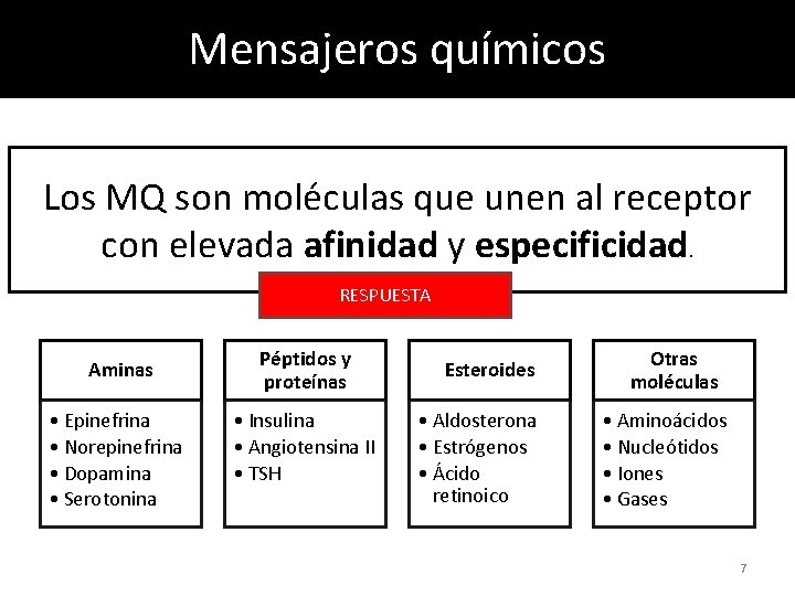 Mensajeros químicos Los MQ son moléculas que unen al receptor con elevada afinidad y