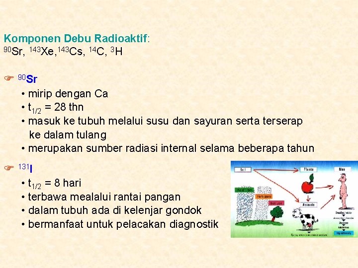 Komponen Debu Radioaktif: 90 Sr, 143 Xe, 143 Cs, 14 C, 3 H 90