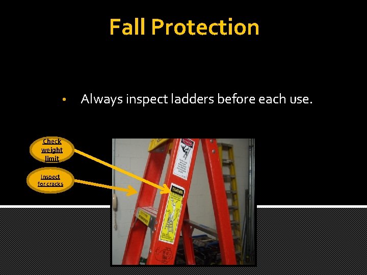 Fall Protection • Check weight limit Inspect for cracks Always inspect ladders before each
