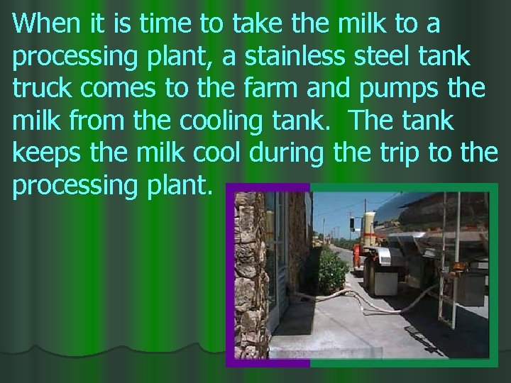 When it is time to take the milk to a processing plant, a stainless