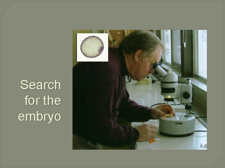 Search for the embryo 