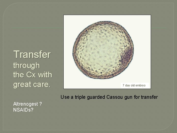 Transfer through the Cx with great care. 7 day old embryo Use a triple