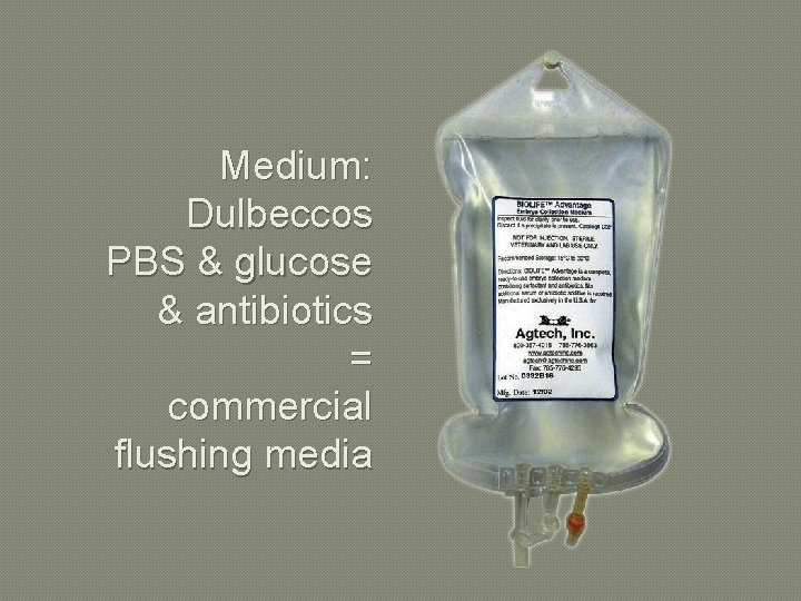 Medium: Dulbeccos PBS & glucose & antibiotics = commercial flushing media 