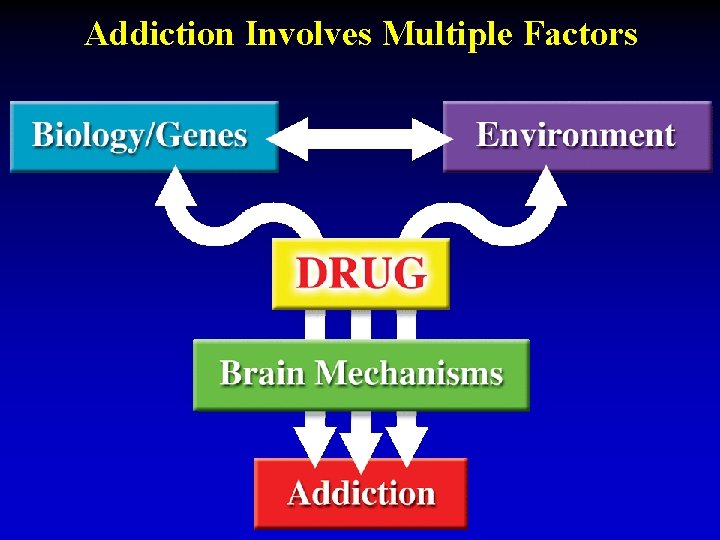 Addiction Involves Multiple Factors 