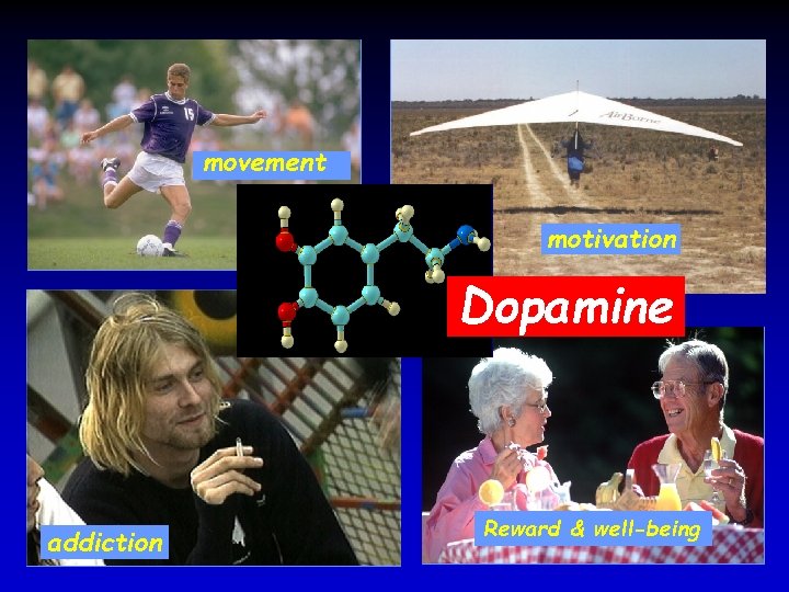movement motivation Dopamine addiction Reward & well-being 