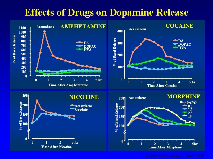 AMPHETAMINE DA DOPAC HVA 0 1 2 3 4 Time After Amphetamine Accumbens Caudate