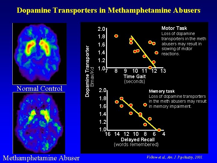 Normal Control Dopamine Transporter Bmax/Kd Dopamine Transporters in Methamphetamine Abusers 2. 0 1. 8