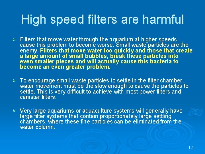 High speed filters are harmful Ø Filters that move water through the aquarium at