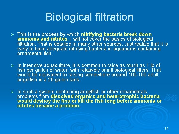 Biological filtration Ø This is the process by which nitrifying bacteria break down ammonia