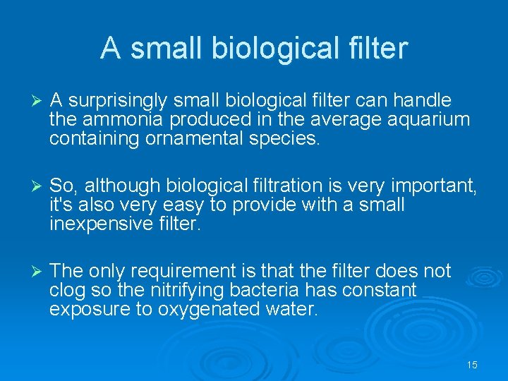 A small biological filter Ø A surprisingly small biological filter can handle the ammonia