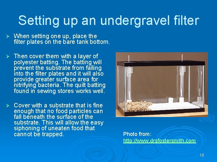Setting up an undergravel filter Ø When setting one up, place the filter plates