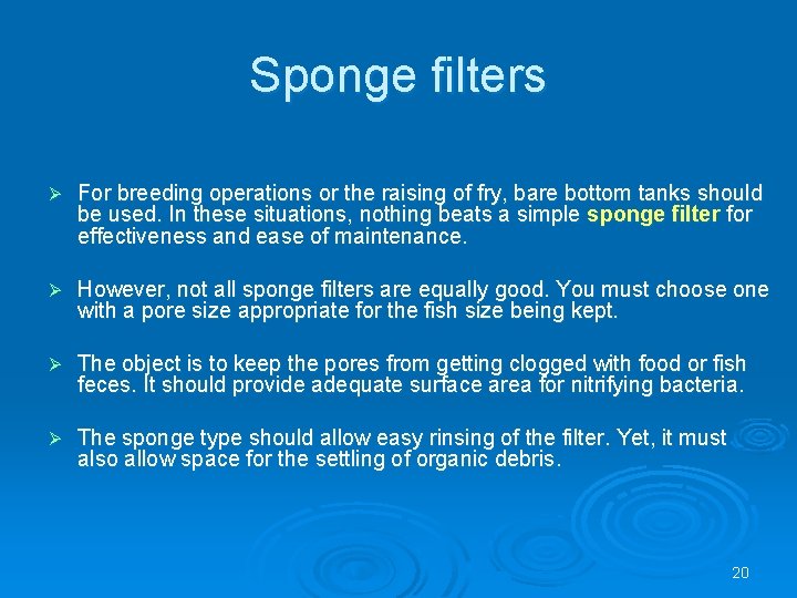 Sponge filters Ø For breeding operations or the raising of fry, bare bottom tanks