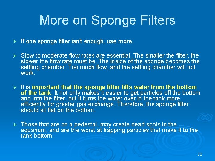 More on Sponge Filters Ø If one sponge filter isn't enough, use more. Ø