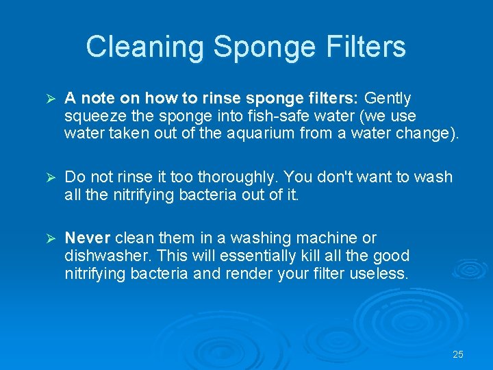 Cleaning Sponge Filters Ø A note on how to rinse sponge filters: Gently squeeze