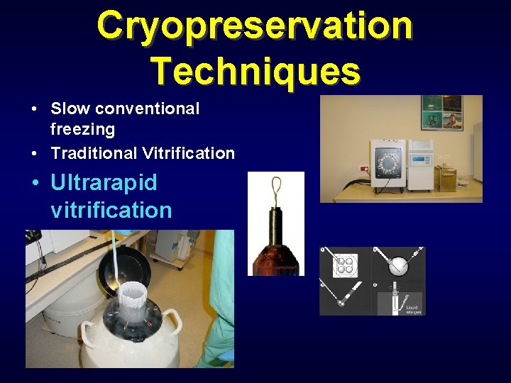 Cryopreservation Techniques • Slow conventional freezing • Traditional Vitrification • Ultrarapid vitrification 