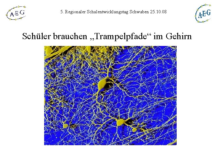 5. Regionaler Schulentwicklungstag Schwaben 25. 10. 08 Schüler brauchen „Trampelpfade“ im Gehirn 