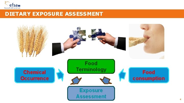DIETARY EXPOSURE ASSESSMENT Chemical Occurrence Food Terminology Exposure Assessment Food consumption 4 