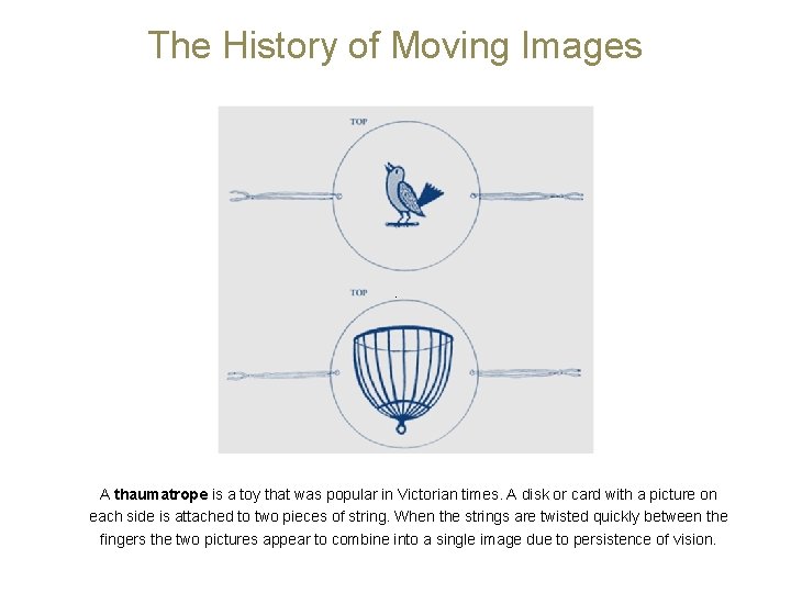The History of Moving Images A thaumatrope is a toy that was popular in