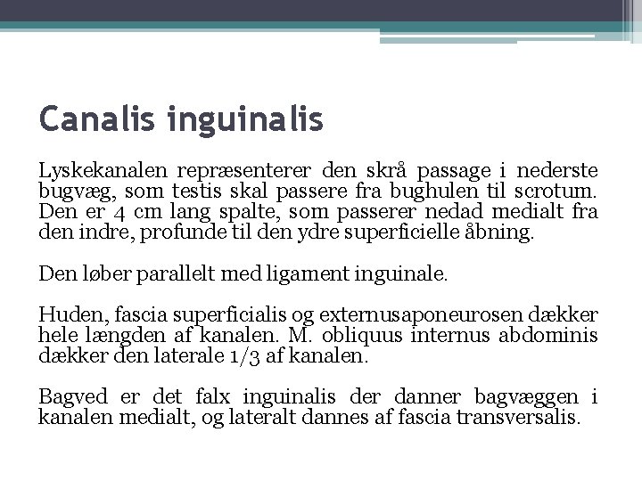 Canalis inguinalis Lyskekanalen repræsenterer den skrå passage i nederste bugvæg, som testis skal passere
