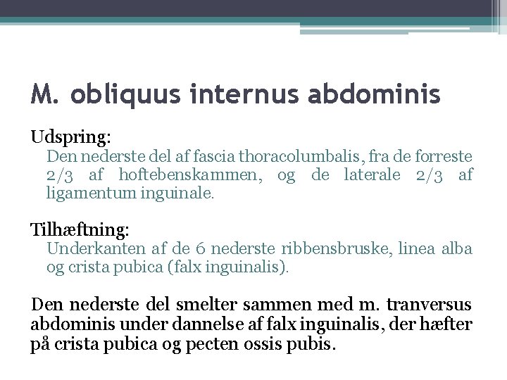 M. obliquus internus abdominis Udspring: Den nederste del af fascia thoracolumbalis, fra de forreste