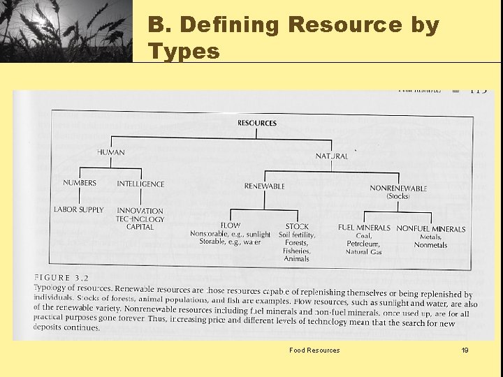 B. Defining Resource by Types Food Resources 19 