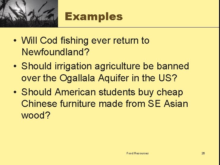 Examples • Will Cod fishing ever return to Newfoundland? • Should irrigation agriculture be