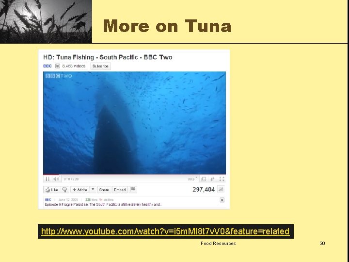 More on Tuna http: //www. youtube. com/watch? v=i 5 m. MI 8 t 7