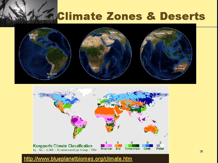 Climate Zones & Deserts Food Resources http: //www. blueplanetbiomes. org/climate. htm 35 