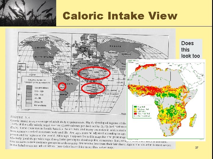 Caloric Intake View Does this look too familiar Food Resources 37 