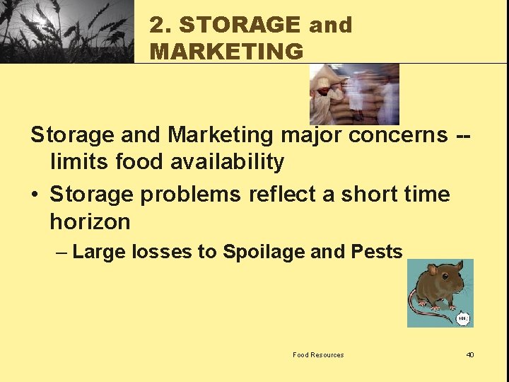 2. STORAGE and MARKETING Storage and Marketing major concerns -- limits food availability •