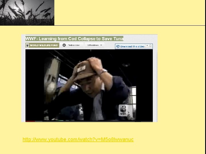 http: //www. youtube. com/watch? v=M 5 o 8 lwwanuc 