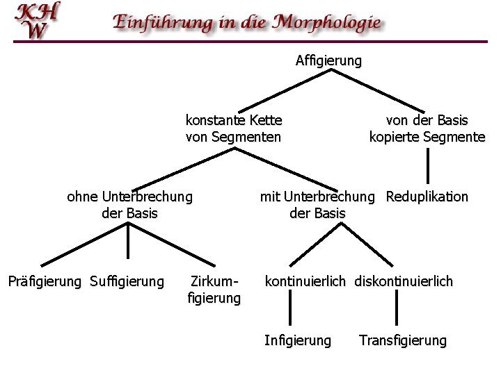 Affigierung konstante Kette von Segmenten ohne Unterbrechung der Basis Präfigierung Suffigierung Zirkumfigierung von der