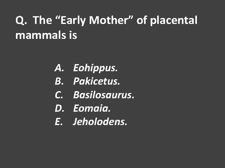 Q. The “Early Mother” of placental mammals is A. B. C. D. E. Eohippus.