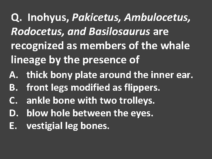 Q. Inohyus, Pakicetus, Ambulocetus, Rodocetus, and Basilosaurus are recognized as members of the whale