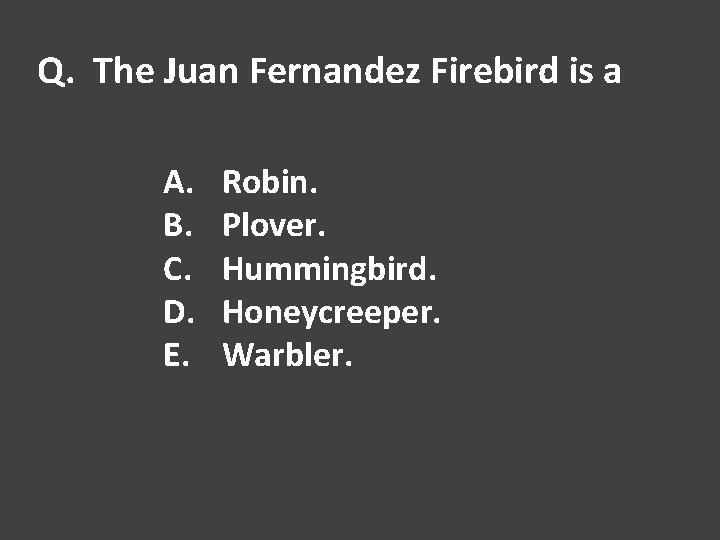 Q. The Juan Fernandez Firebird is a A. B. C. D. E. Robin. Plover.