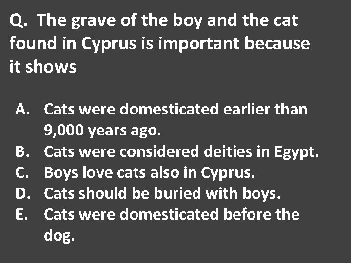 Q. The grave of the boy and the cat found in Cyprus is important