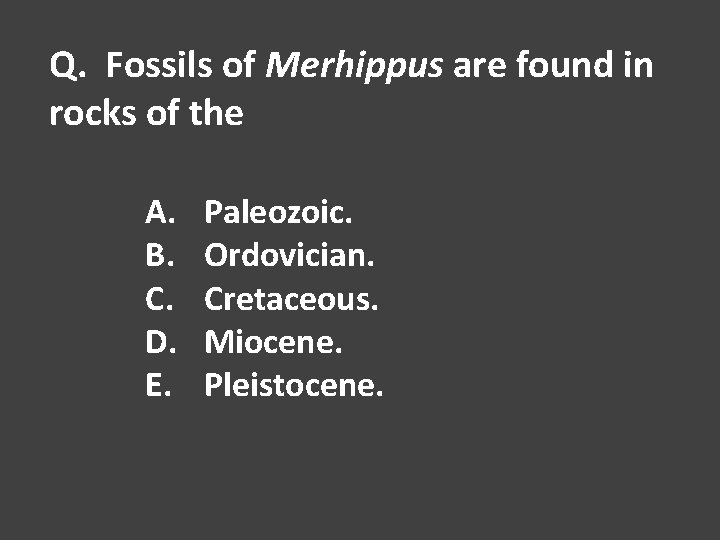 Q. Fossils of Merhippus are found in rocks of the A. B. C. D.