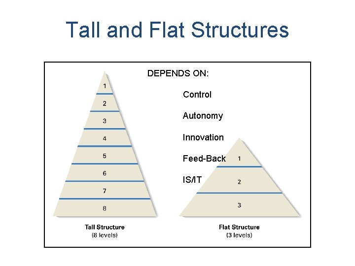 Tall and Flat Structures DEPENDS ON: Control Autonomy Innovation Feed-Back IS/IT 