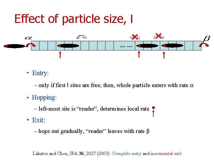 Effect of particle size, l …… • Entry: – only if first l sites